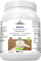 WheyPro (Vanilla) - Whey Protein Powder - Fashionfitz