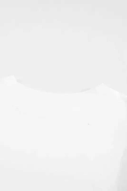 White Hollow Out Ruffle Sleeve T-shirt - Fashionfitz